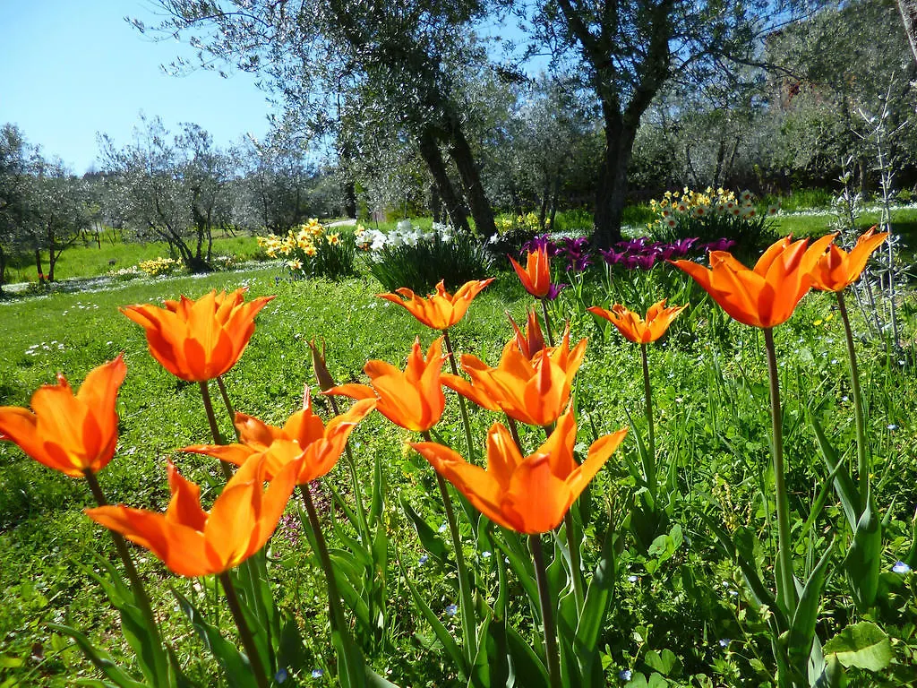 Villa Bordoni Greve in Chianti Hotel